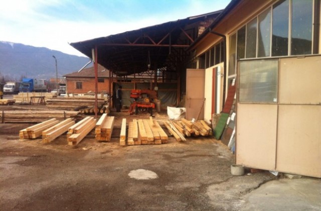 Масови проверки на складове за дървесина от днес