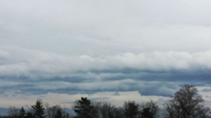 Времето на 19 февруари Сутринта са възможни краткотрайни валежи