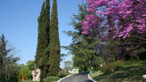 1 март Ден на мартеницата и на зоопарка в Стара