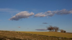 България е четвърта в ЕС по ръст на прибрани зърнени