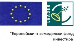 Заседава Местната инициативна група в Нова Загора