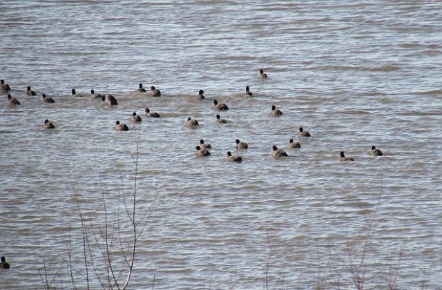 Пуснаха пътеводител за България - от Вазовата пътека до паметника на завистта