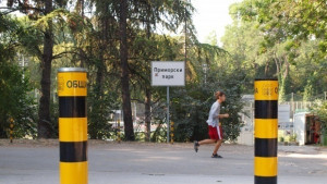 Природозащитници ще протестират срещу съдебно решение за колите в Морската