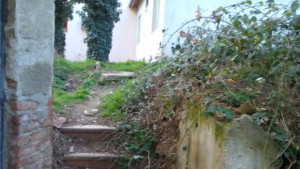 Събраха над 700 подписа за паметна плоча на герой в