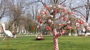Новозагорските дървета отново разцъфват в червенобяла премяна