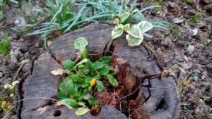 Превалявания от дъжд и пониски температури днес