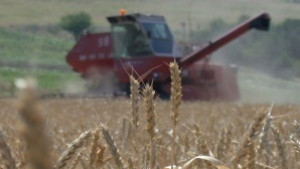 Топлото време опасно за трайните насаждения няма опасност за есенните