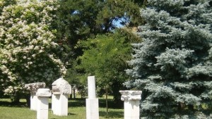 Басейнова дирекция и РИОСВ провеждат в РИМПлевен Час по екология
