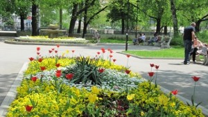 Община и доброволци съвместно реализират идеята За чиста околна среда