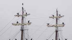 Варна пак става столица на ветрилата с регатата Трети март