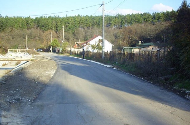 Пребиха бездомно куче в Лозята