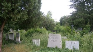 Всички гробищни паркове ще бъдат почистени за предстоящата Задушница