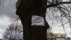 Нетрадиционно романтично послание в Благоевград СНИМКИ