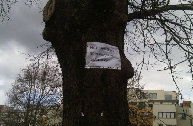 Нетрадиционно романтично послание в Благоевград (СНИМКИ)