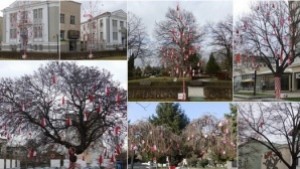 Нова Загора в бялочервена премяна