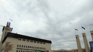 Кръстоска между слива и кайсия взе награда за иновация на