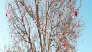 Деца украсяват с мартеници градските дървета