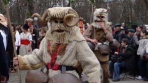 Найдобрите групи на Кукерландия 2016