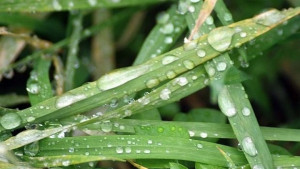 Нови слаби превалявания от дъжд