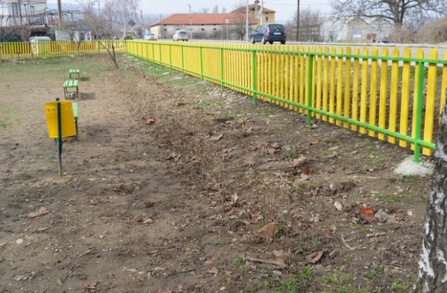 Откраднаха 120 декоративни храсти от детска площадка в с. Пиперков чифлик