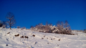 Ще има ли сняг през март