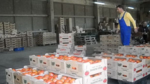 Инспектори на границата за негодна продукция