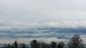 Времето на 4 март Облачно с валежи