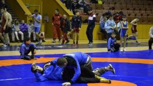 Община Велико Търново осигури нов тепих за състезателите по борба