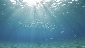 Плаващо кошче ще чисти морето и океана