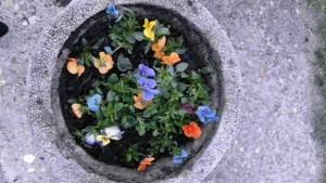 Младежите от ГЕРБГаброво създадоха цветно настроение за 8 март