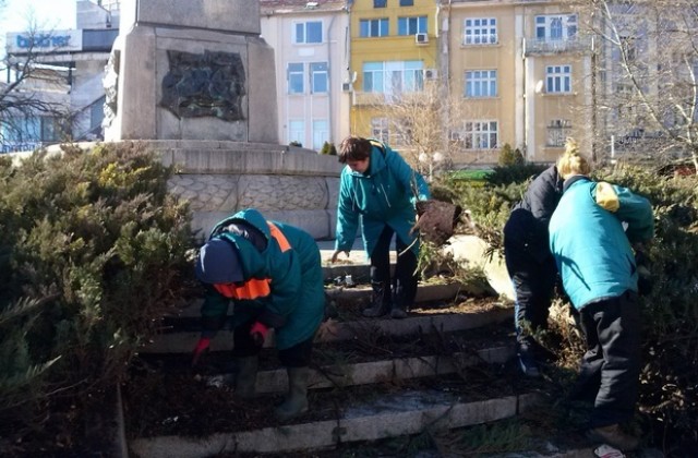 Цветя ще красят паметника на площад Свобода в Плевен