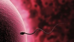 Не успяха да трансплантират матка последваха много усложнения за пациента