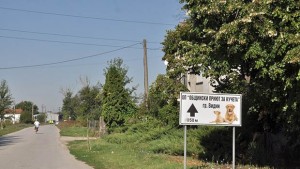 Предприемат сериозни мерки за овладяване на проблема с бездомните кучета