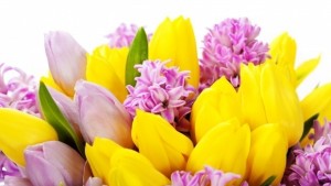 НАП взе 19 000 лева от търговци на цветя