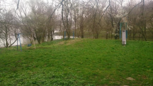 Община Свищов продължава почистването от храсти и изсъхнали дървета в