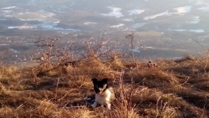 Облачно пак започва да вали