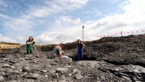 Фосил на свиреп гущер запълва празнина в пъзела на еволюцията