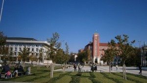 Цветни пирамиди ще радват плевенчани