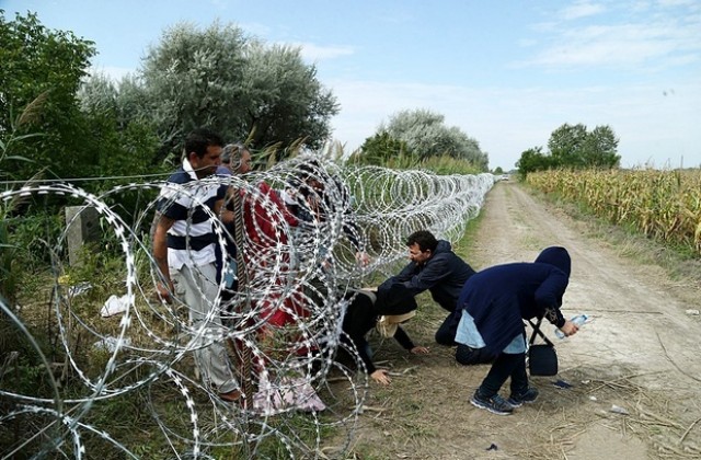 Австрия ще ни помага за нелегалните имигранти