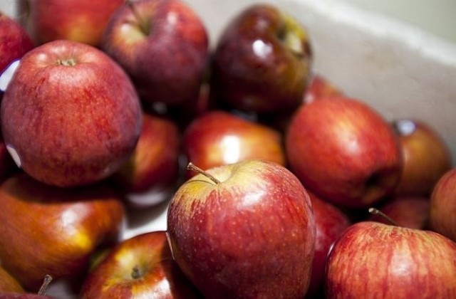Спряха внос на 22 тона ябълки на ГКПП- Гюешево