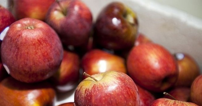 Български производители на ябълки са принудени да изкореняват насаждения и