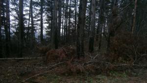 Дъждът ще премине в сняг