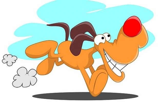 Кучето Тоби има два носа, но това не му пречи (СНИМКИ)