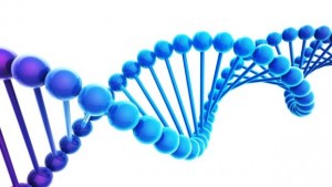 Генна мутация увеличава 35 пъти риска от шизофрения