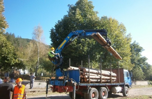 Лесовъди тестват електронните билети за превоз на дървесина