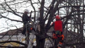 Посрещнахме швейцарските озеленители с кавги Беше много грозно