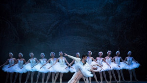 Лебедово езеро представя пловдивската опера