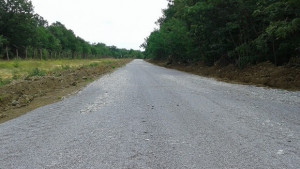 Близо 100 км нови и ремонтирани горски пътища