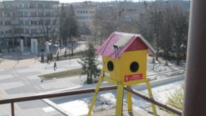 Нови апарати за прогонване на гаргите пробват в Търговище