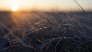 Рекордно топлият февруари 2016 озадачава учените